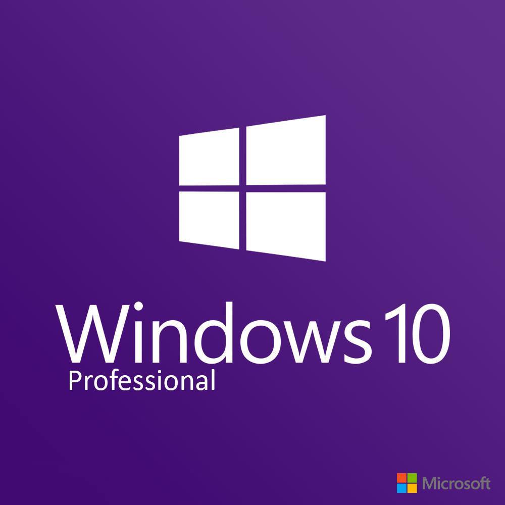 Microsoft Windows 10 Professional Soltec